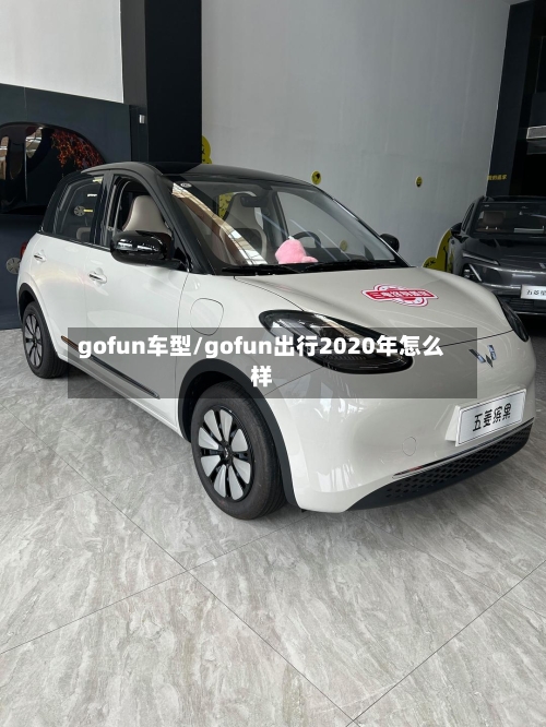gofun车型/gofun出行2020年怎么样-第2张图片