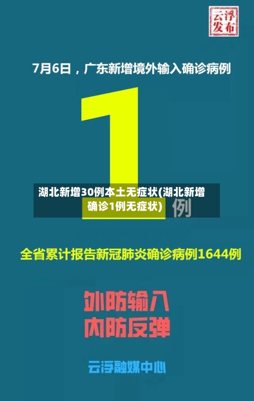 湖北新增30例本土无症状(湖北新增确诊1例无症状)-第2张图片