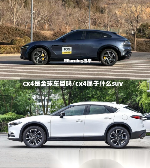 cx4是全球车型吗/cx4属于什么suv-第2张图片
