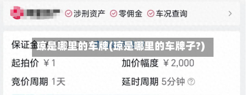 琼是哪里的车牌(琼是哪里的车牌子?)