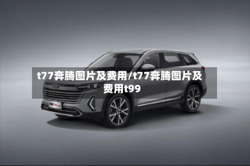 t77奔腾图片及费用/t77奔腾图片及费用t99