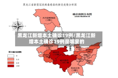 黑龙江新增本土确诊19例/黑龙江新增本土确诊19例是哪里的